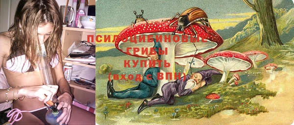 эйфоретик Баксан